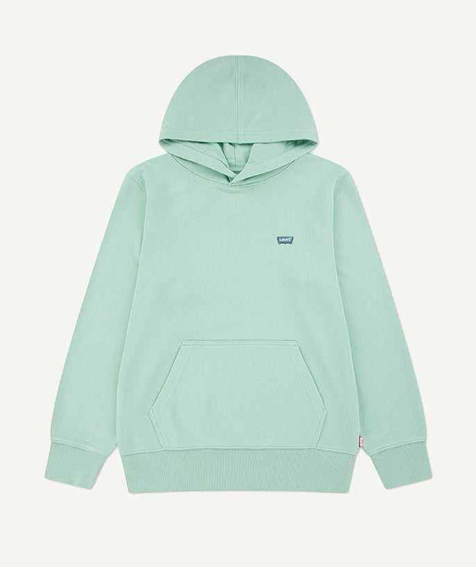 Sweat à capuche garçon vert - 1